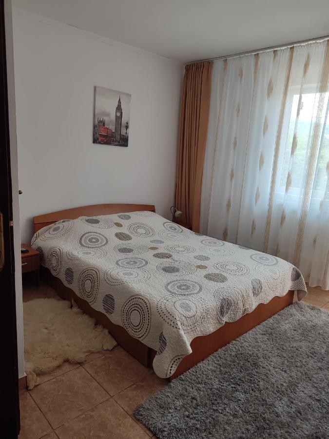 Готель Casa Irilen Менестіря-Хуморулуй Екстер'єр фото